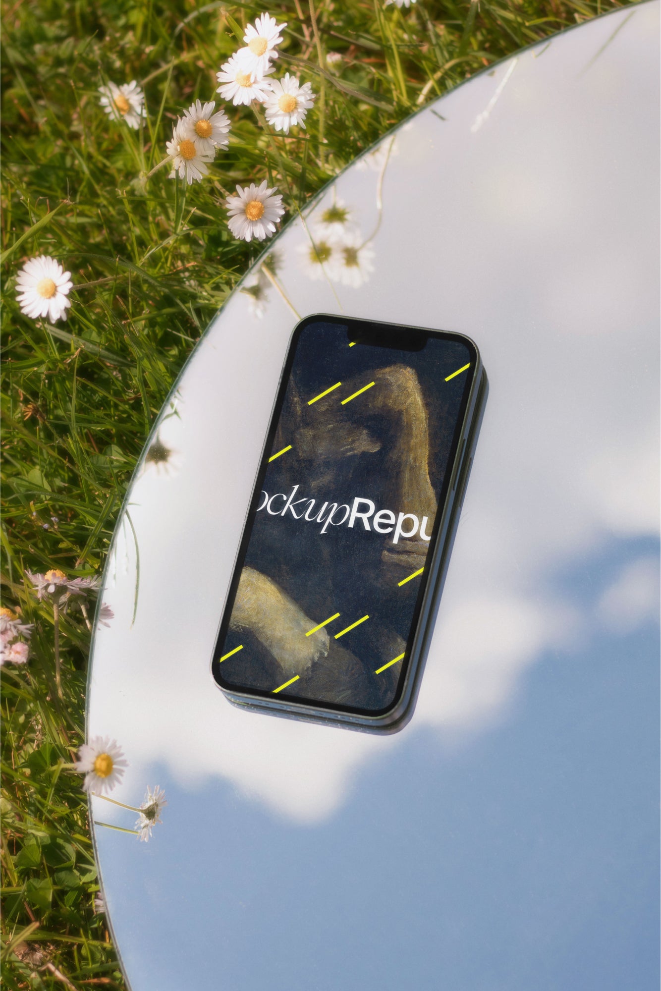 iPhone Mockup DS_001