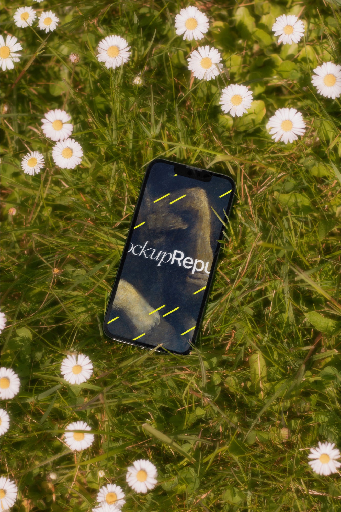 iPhone Mockup DS_002