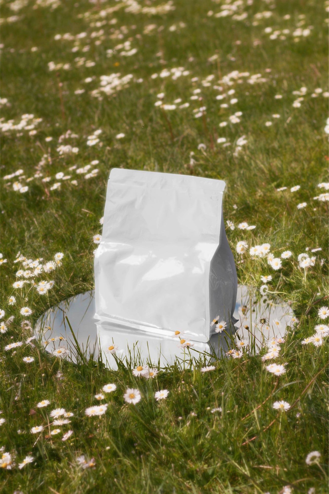 Packaging Mockup DS_007