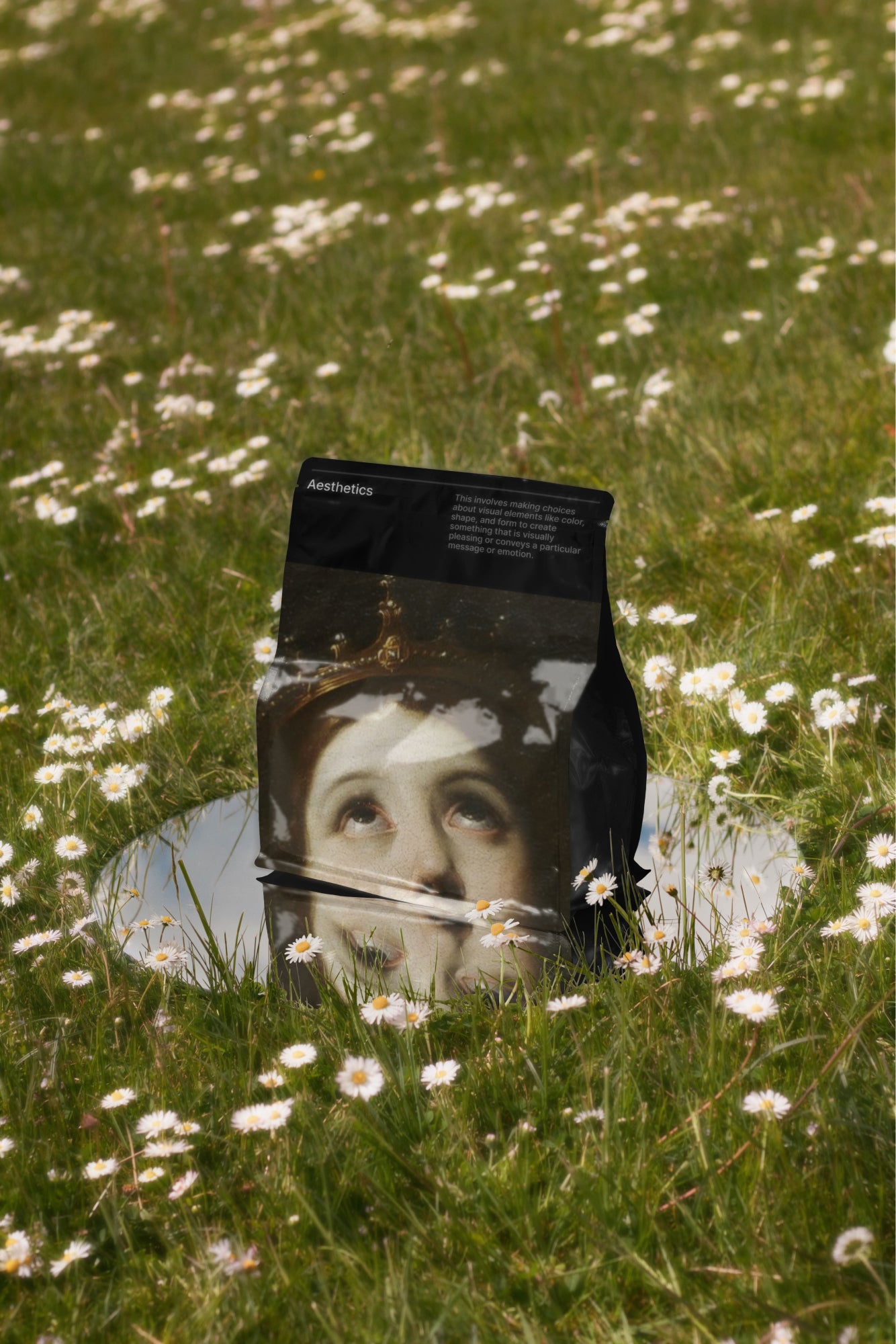 Packaging Mockup DS_007