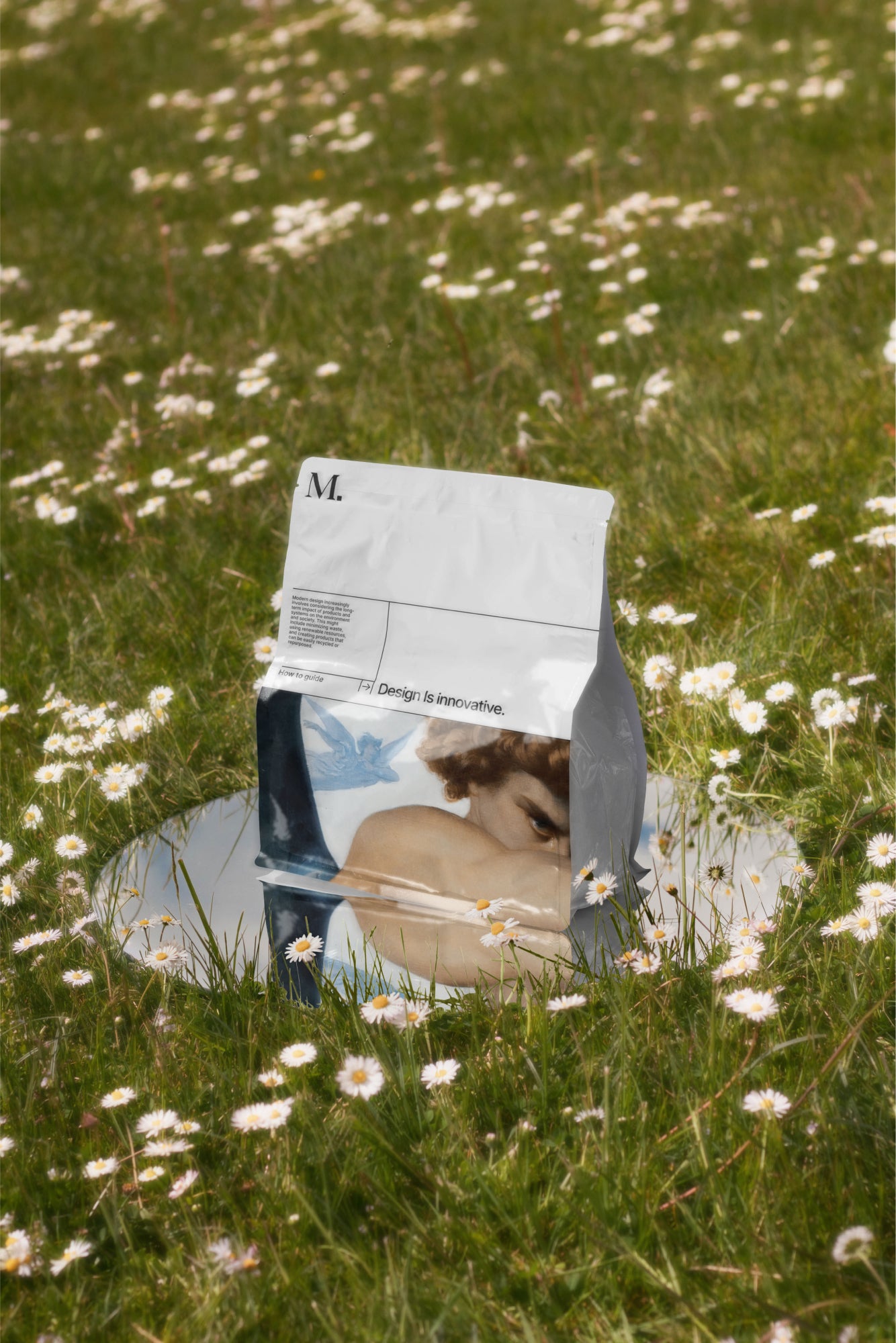 Packaging Mockup DS_007