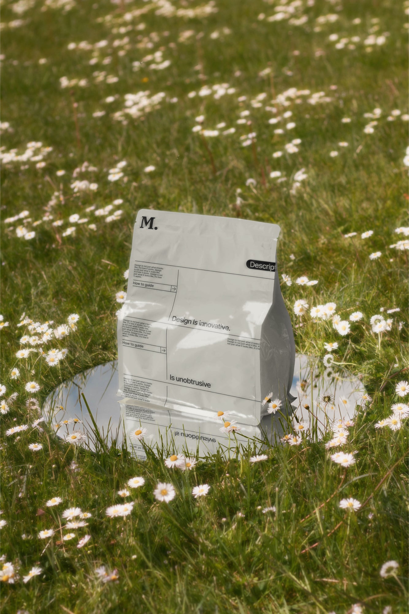 Packaging Mockup DS_007