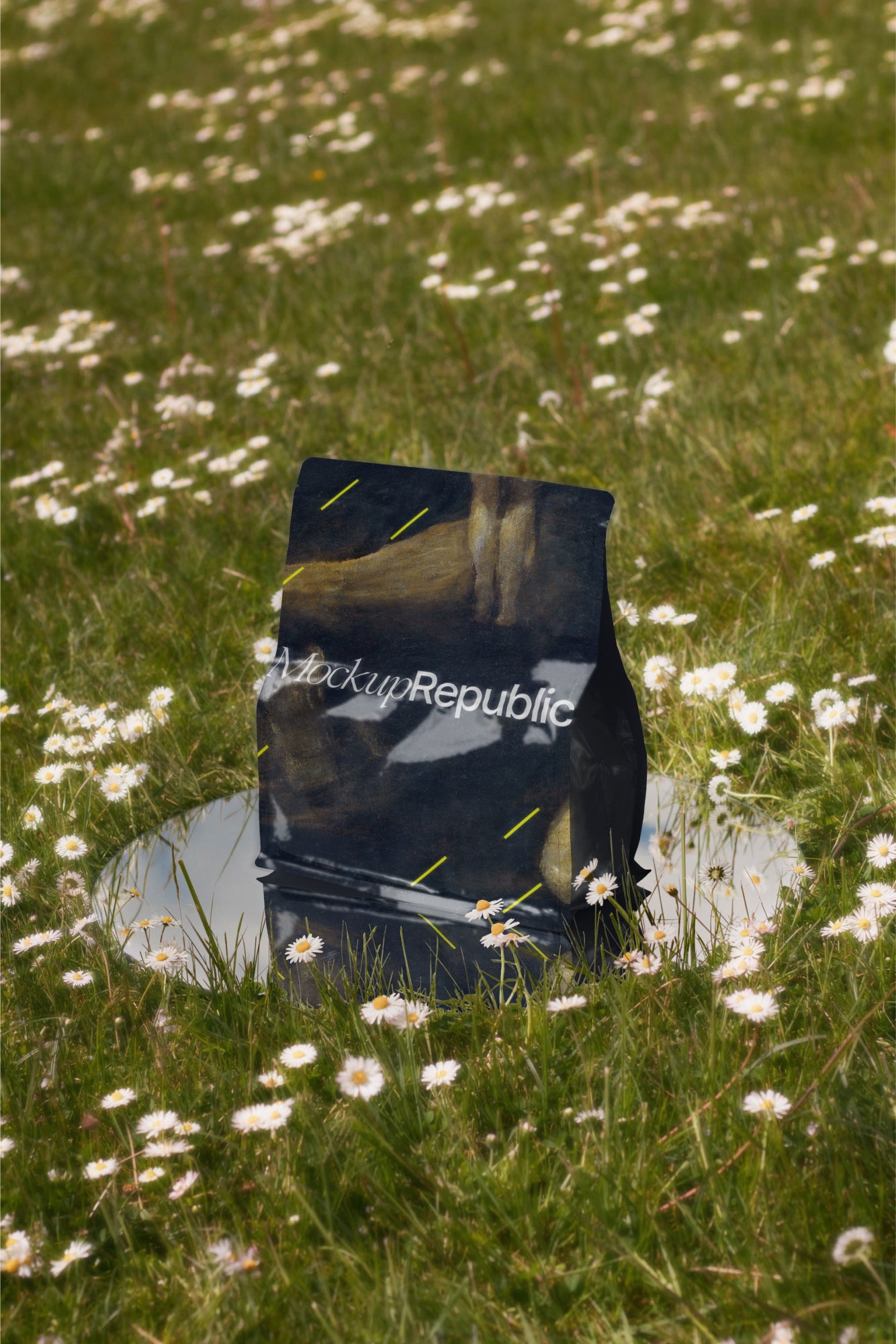 Packaging Mockup DS_007