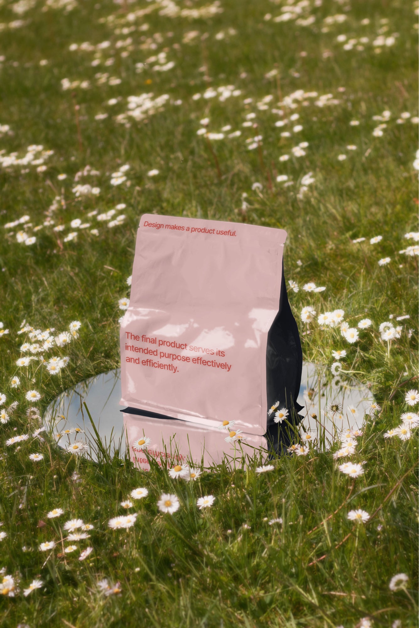 Packaging Mockup DS_007