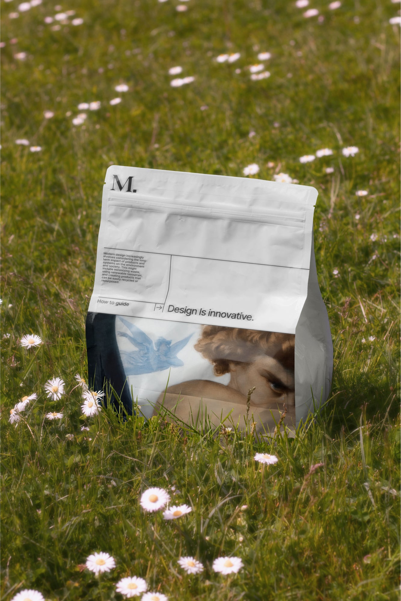 Packaging Mockup DS_008