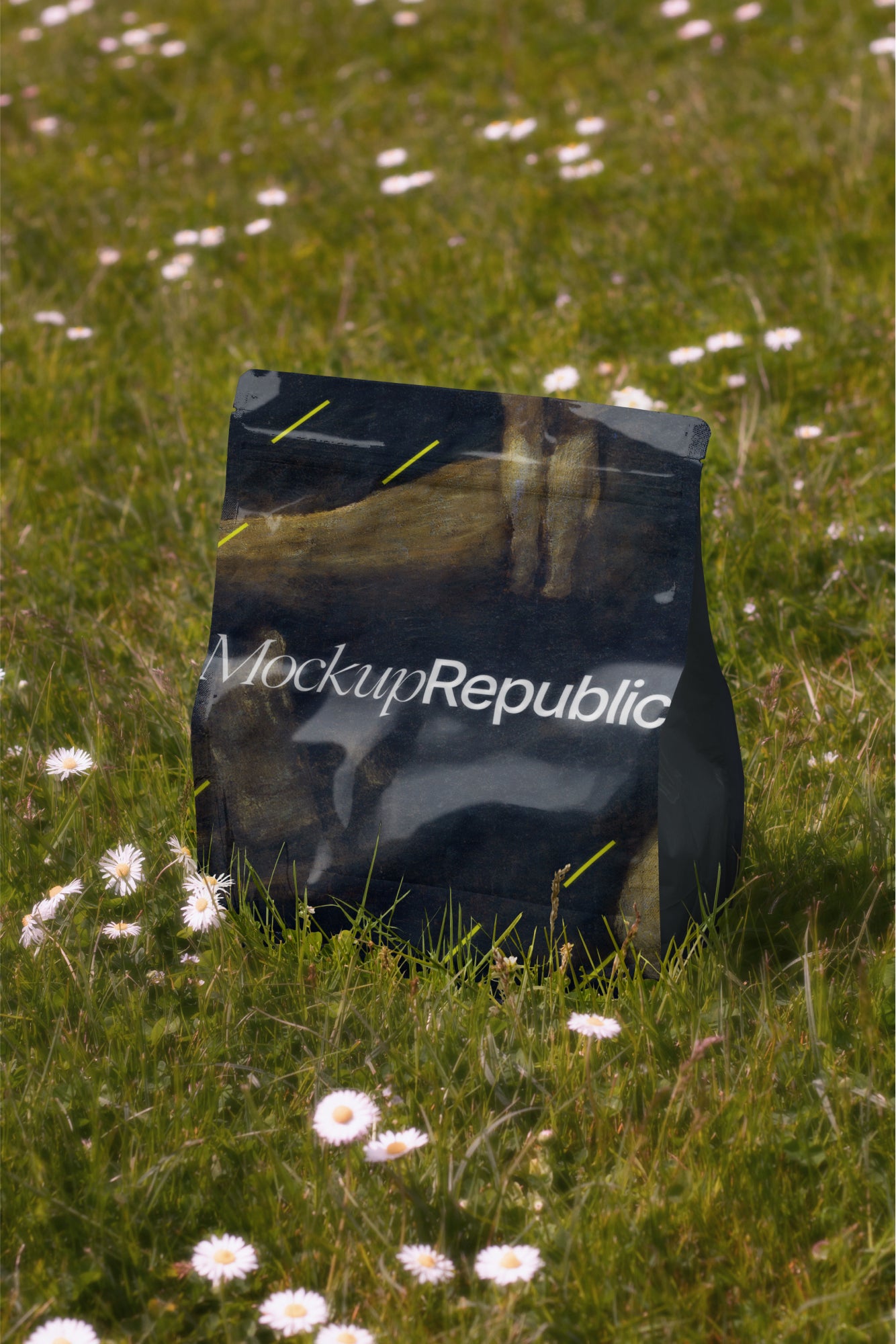 Packaging Mockup DS_008