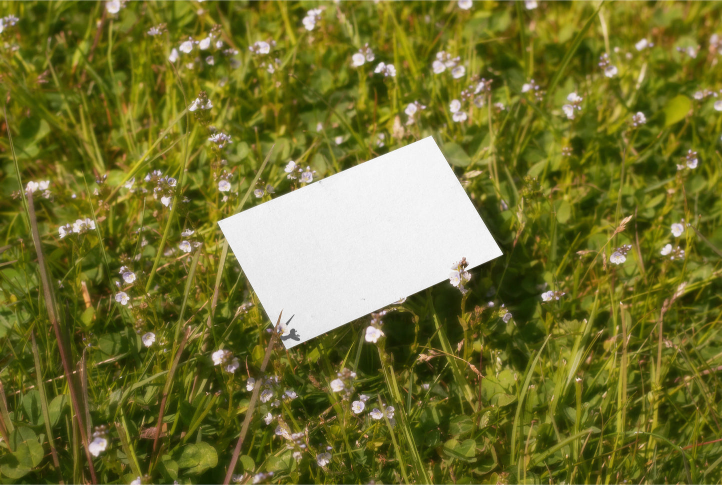 Business Card Mockup DS_011