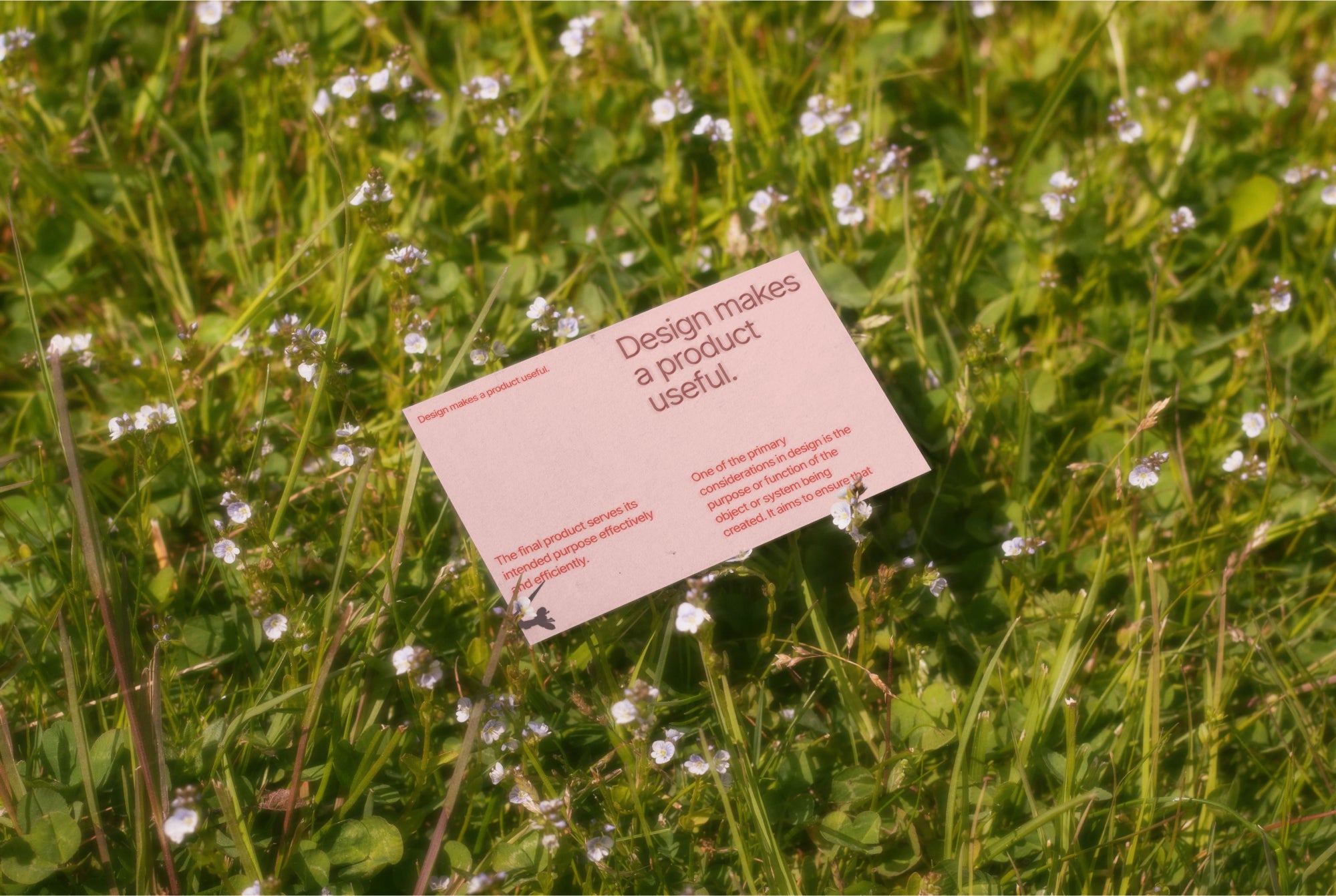 Business Card Mockup DS_011