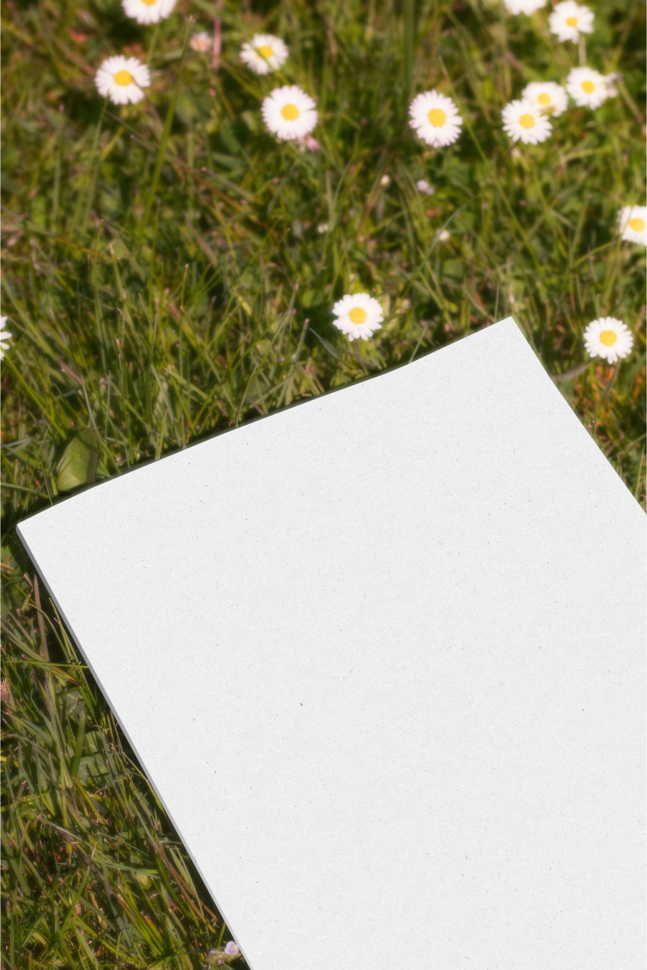 Journal Mockup DS_025