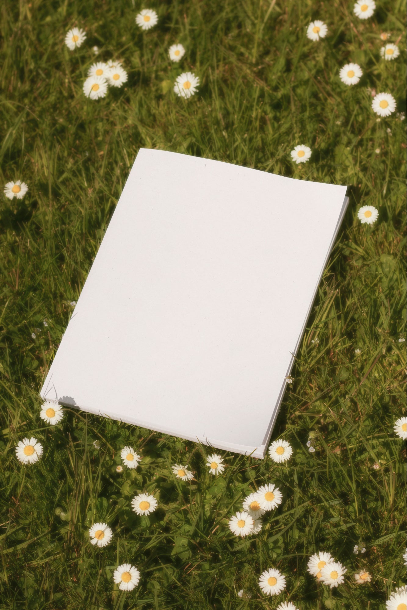 Journal Mockup DS_026
