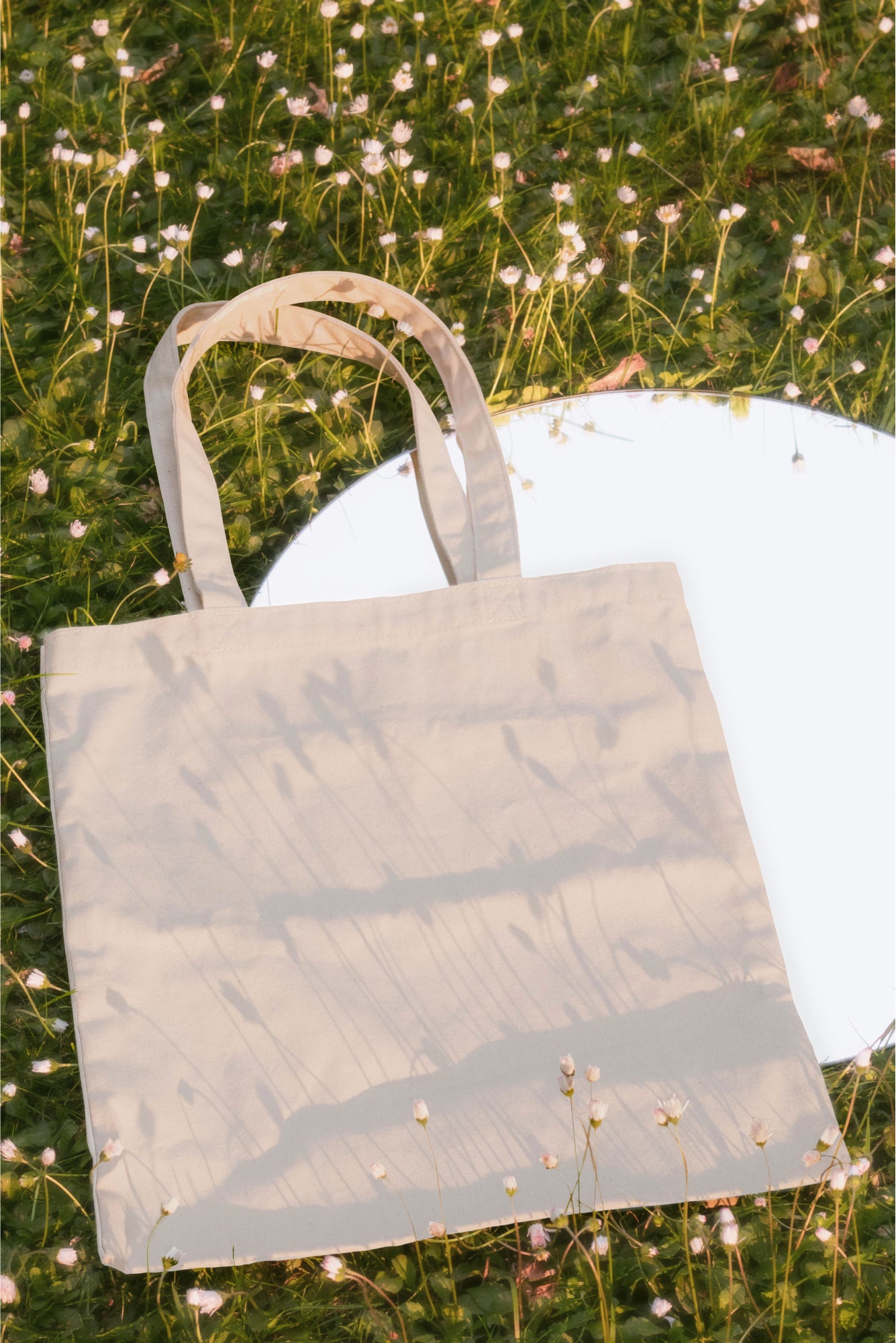 Tote Bag Mockup DS_037