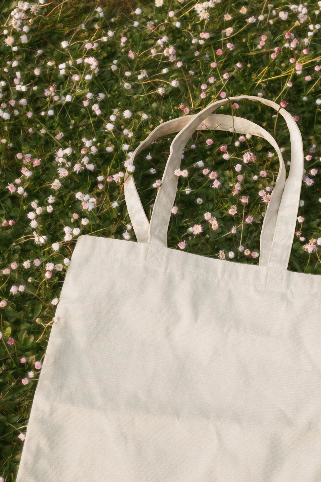 Tote Bag Mockup DS_042