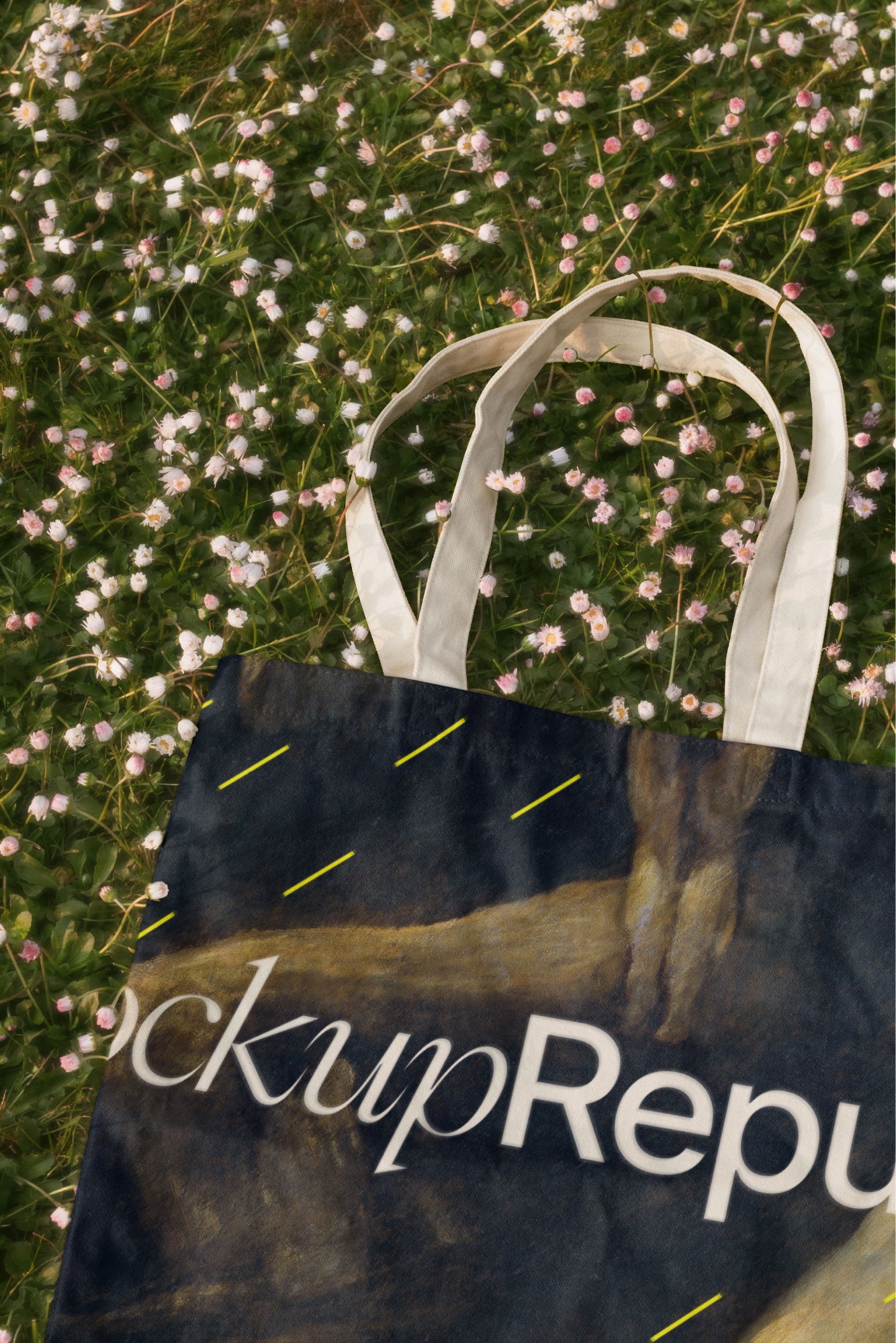 Tote Bag Mockup DS_042