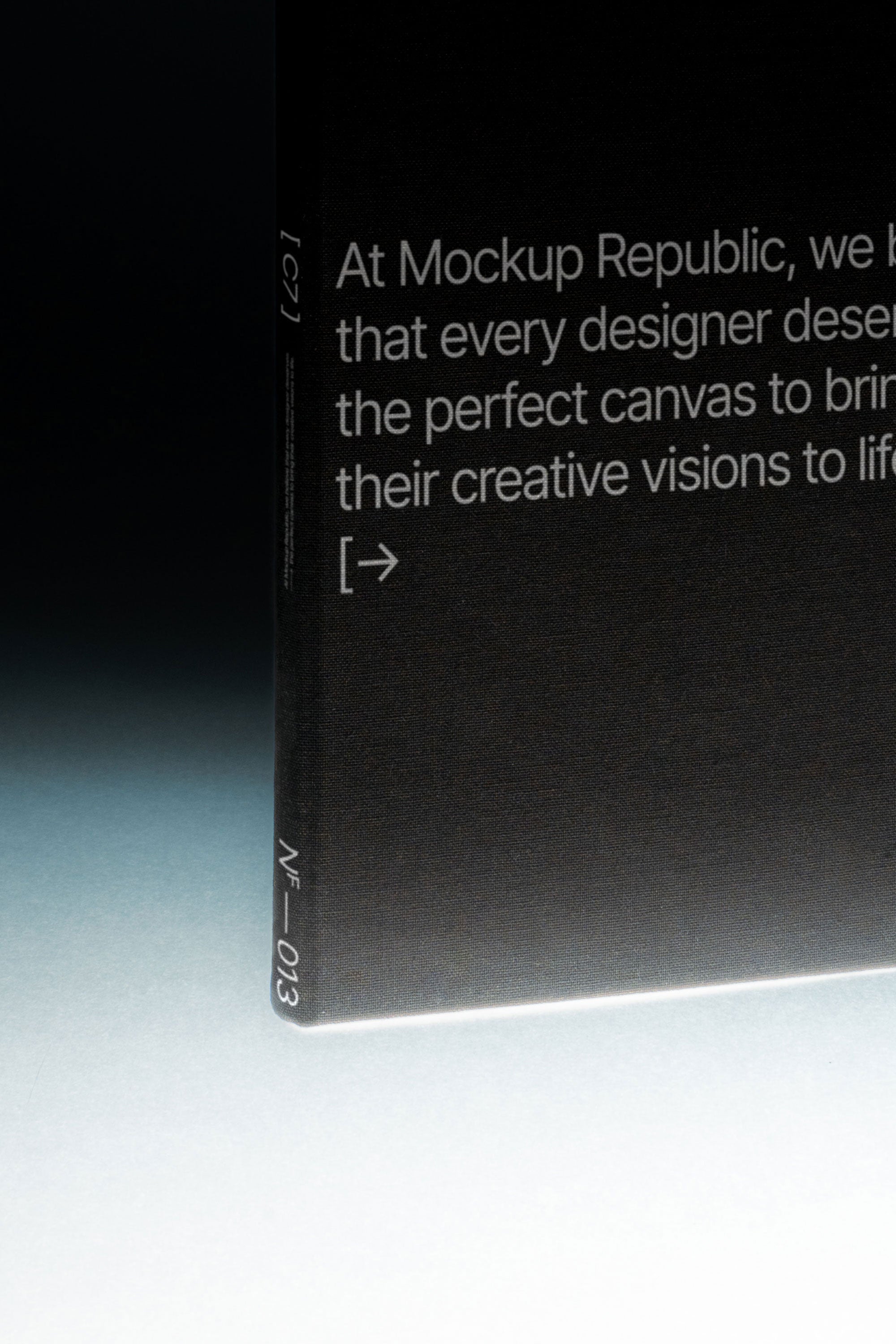 Book Mockup NF_013