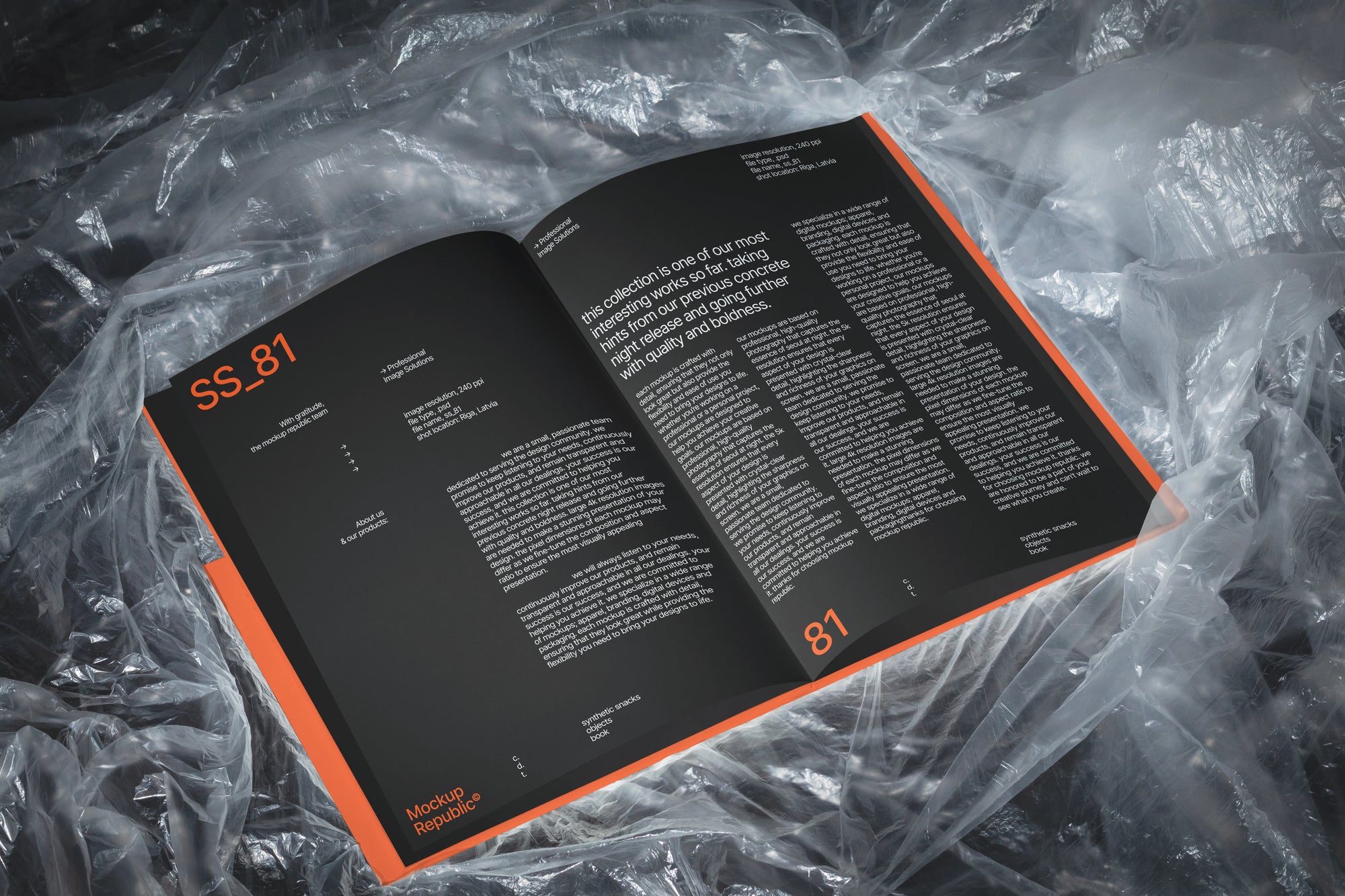 Book Mockup SS_81