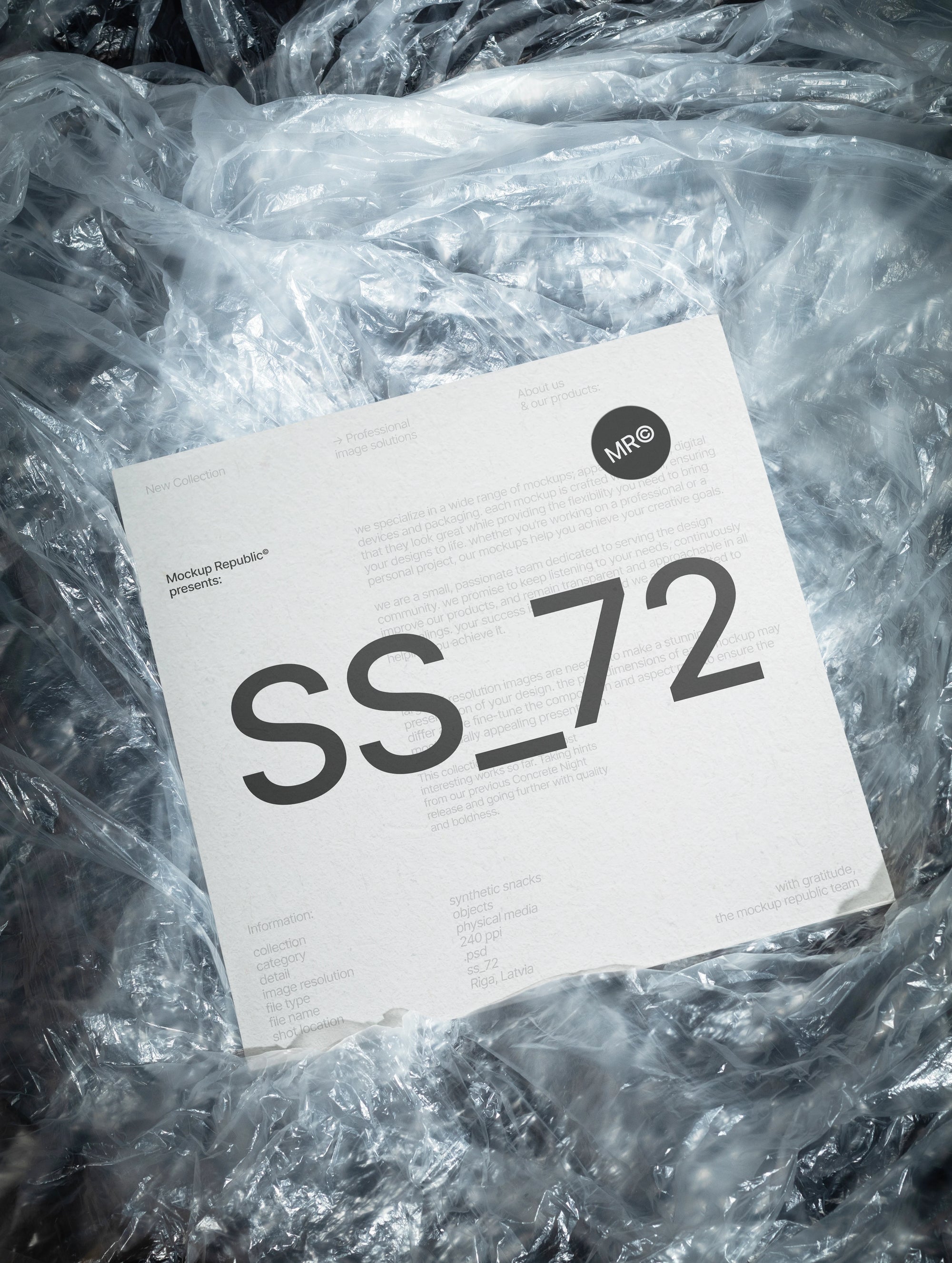 Vinyl Mockup SS_72