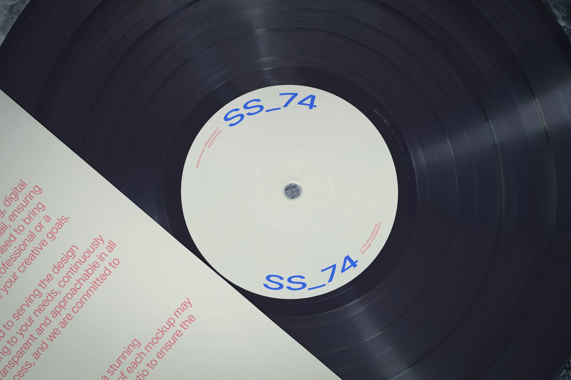 Vinyl Mockup SS_74