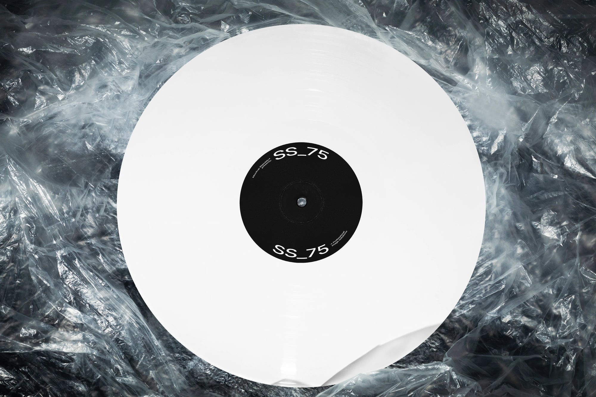 Vinyl Mockup SS_75