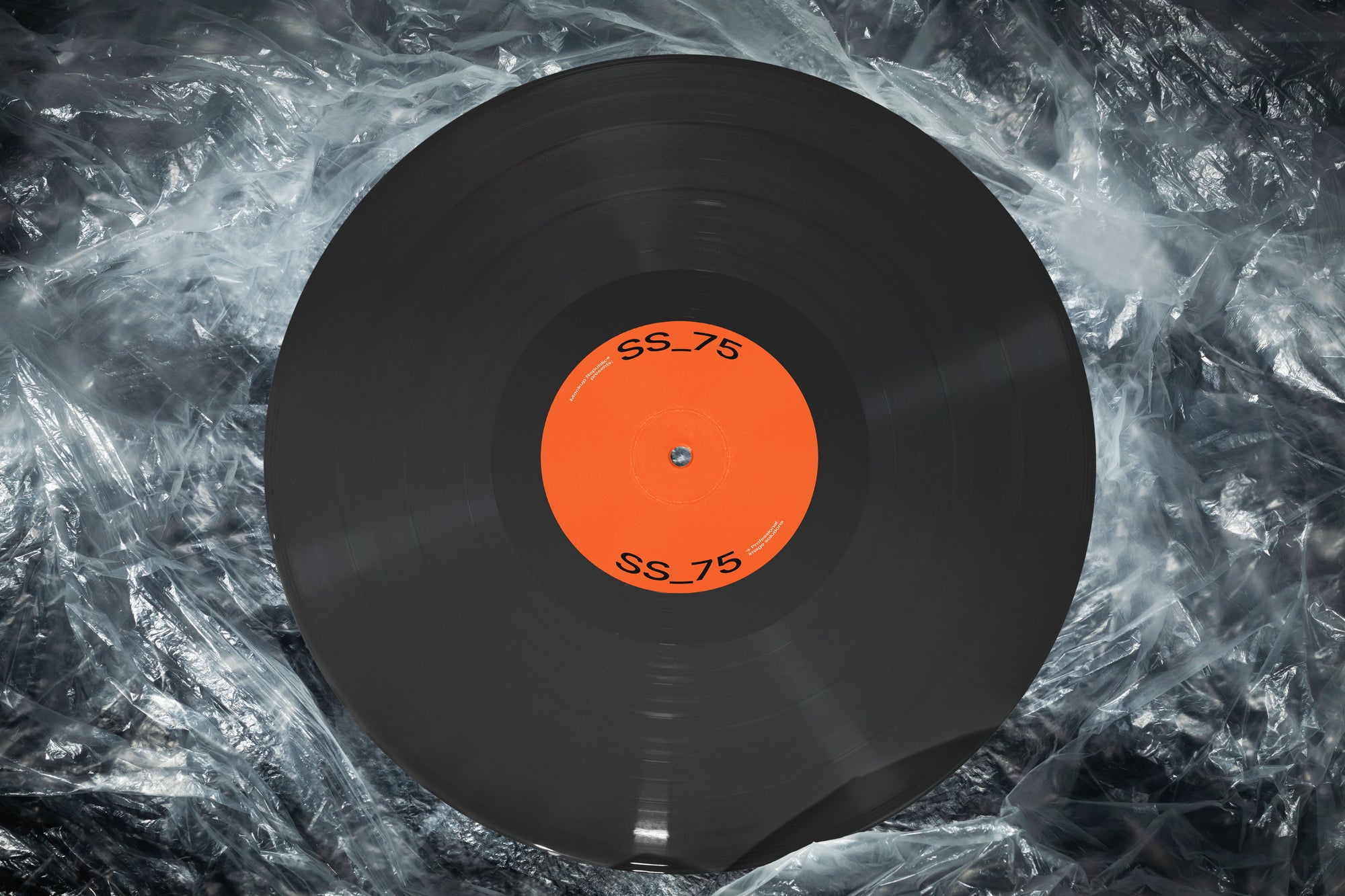 Vinyl Mockup SS_75