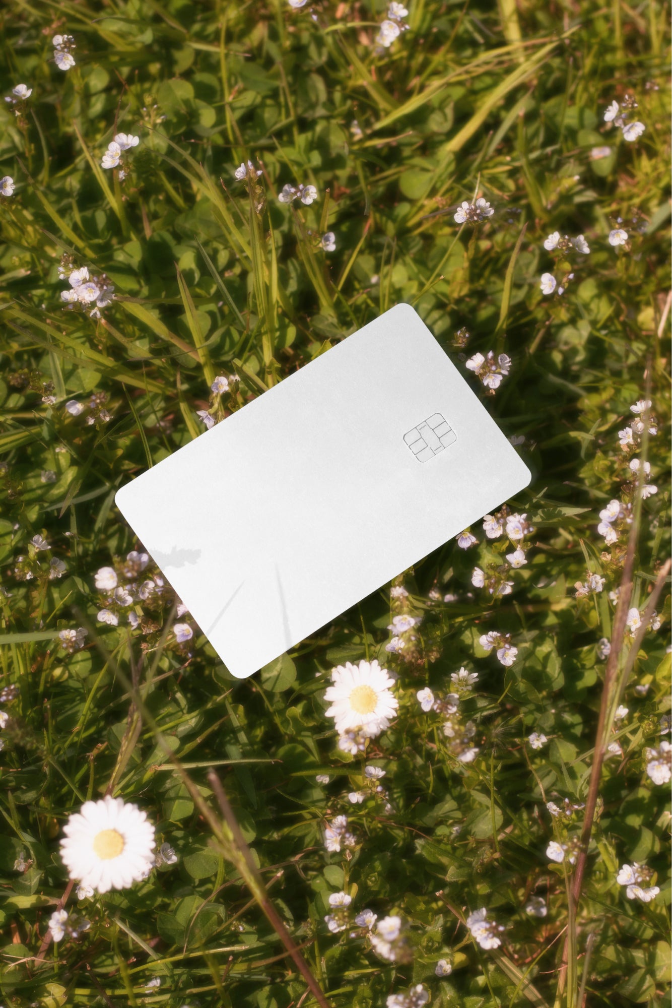 Credit & Debit Card Mockup DS_010