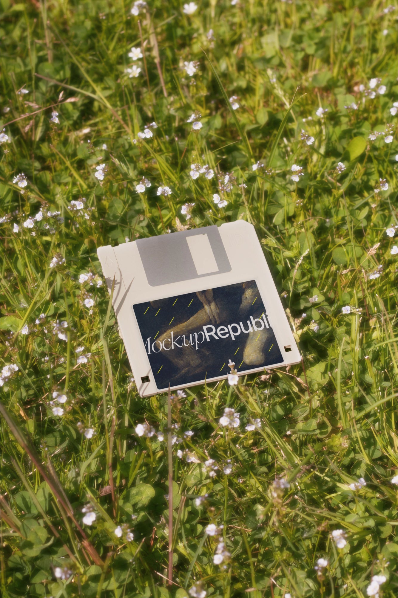 Floppy Disk Mockup DS_012