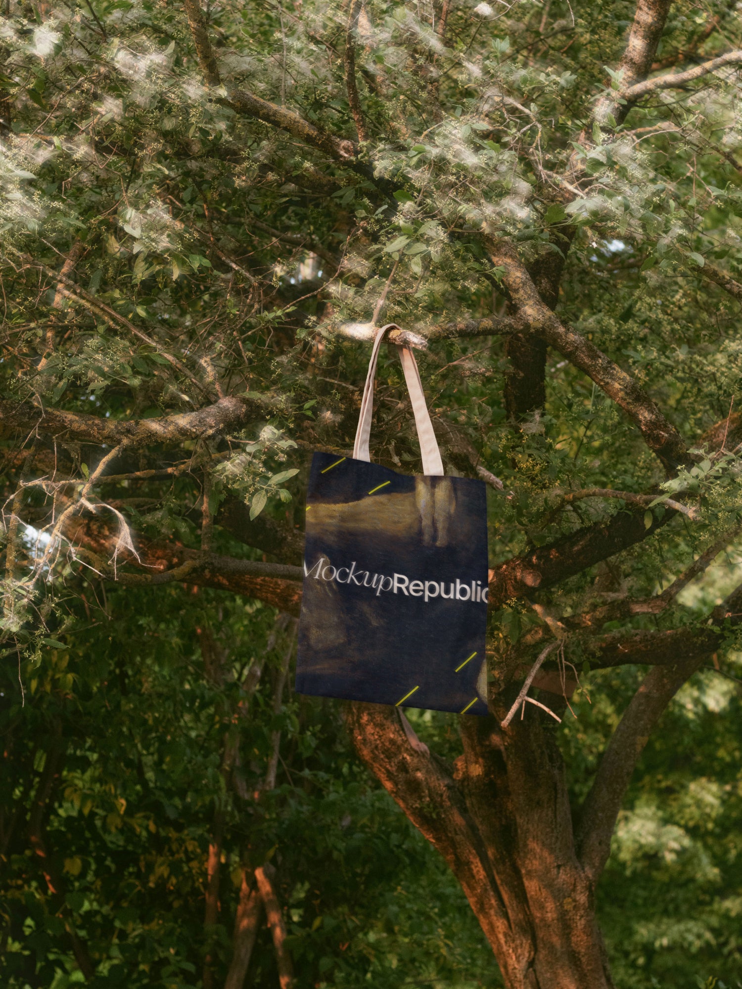 Tote Bag Mockup DS_045