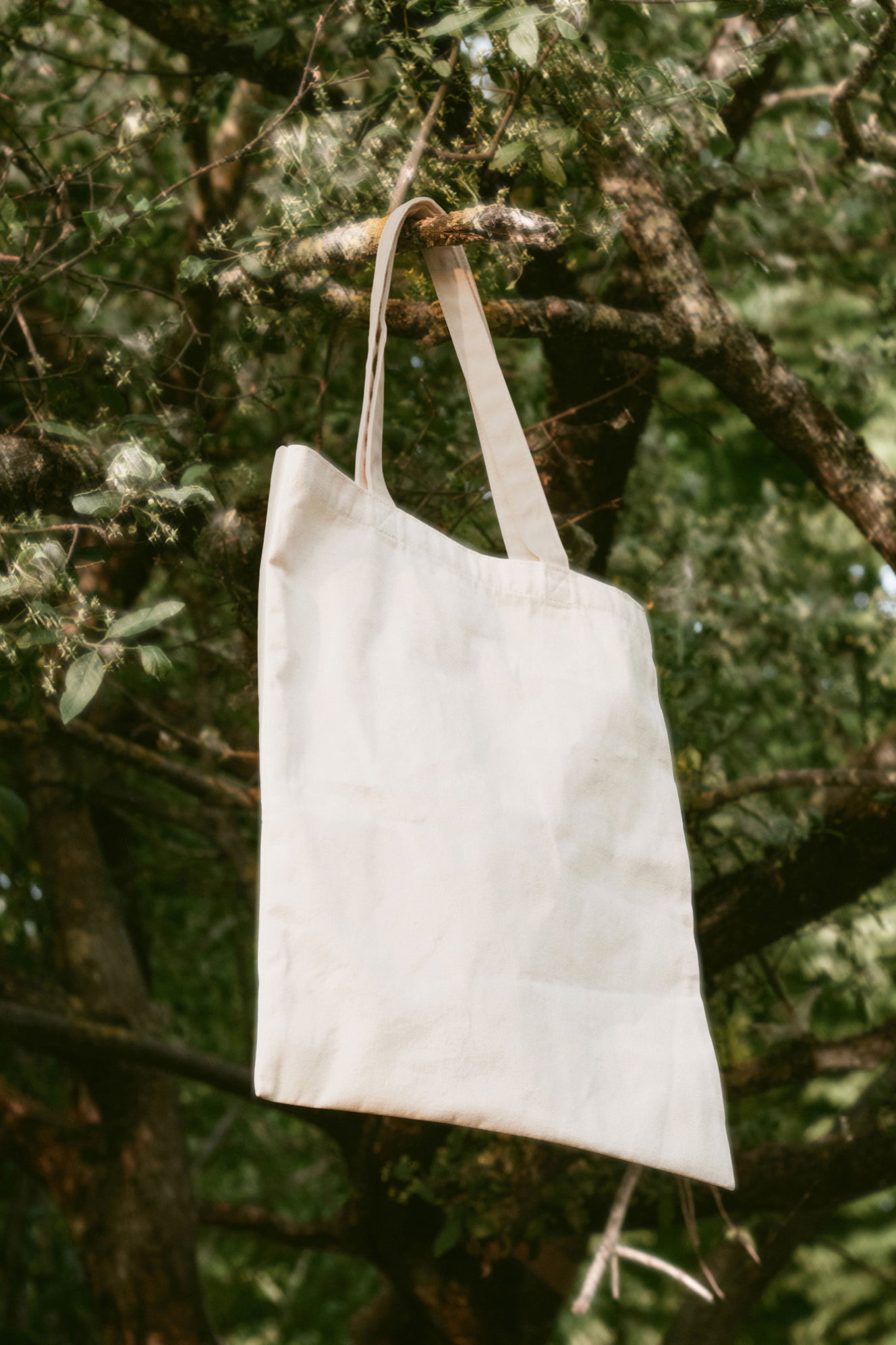 Tote Bag Mockup DS_047