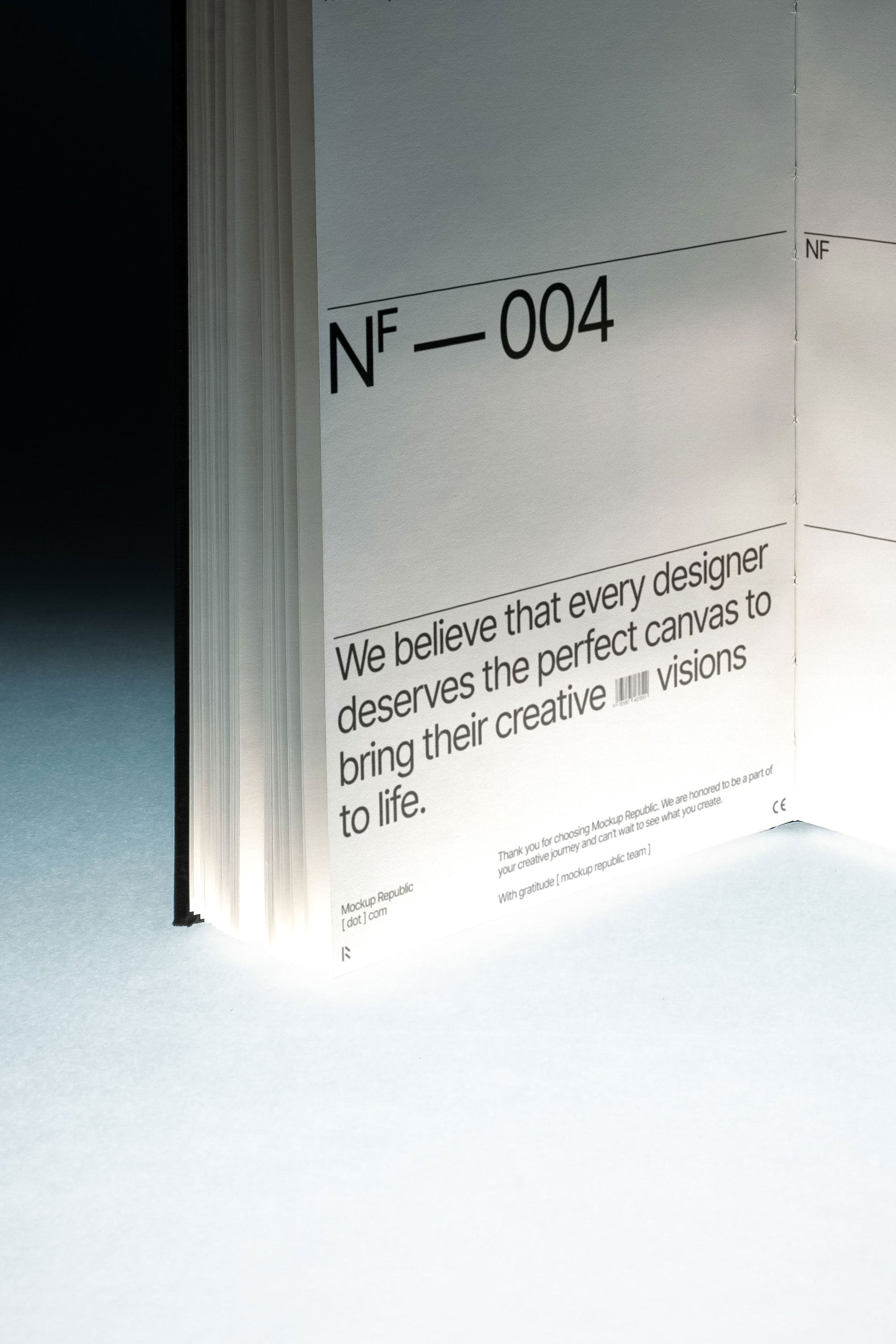 Book Mockup NF_004