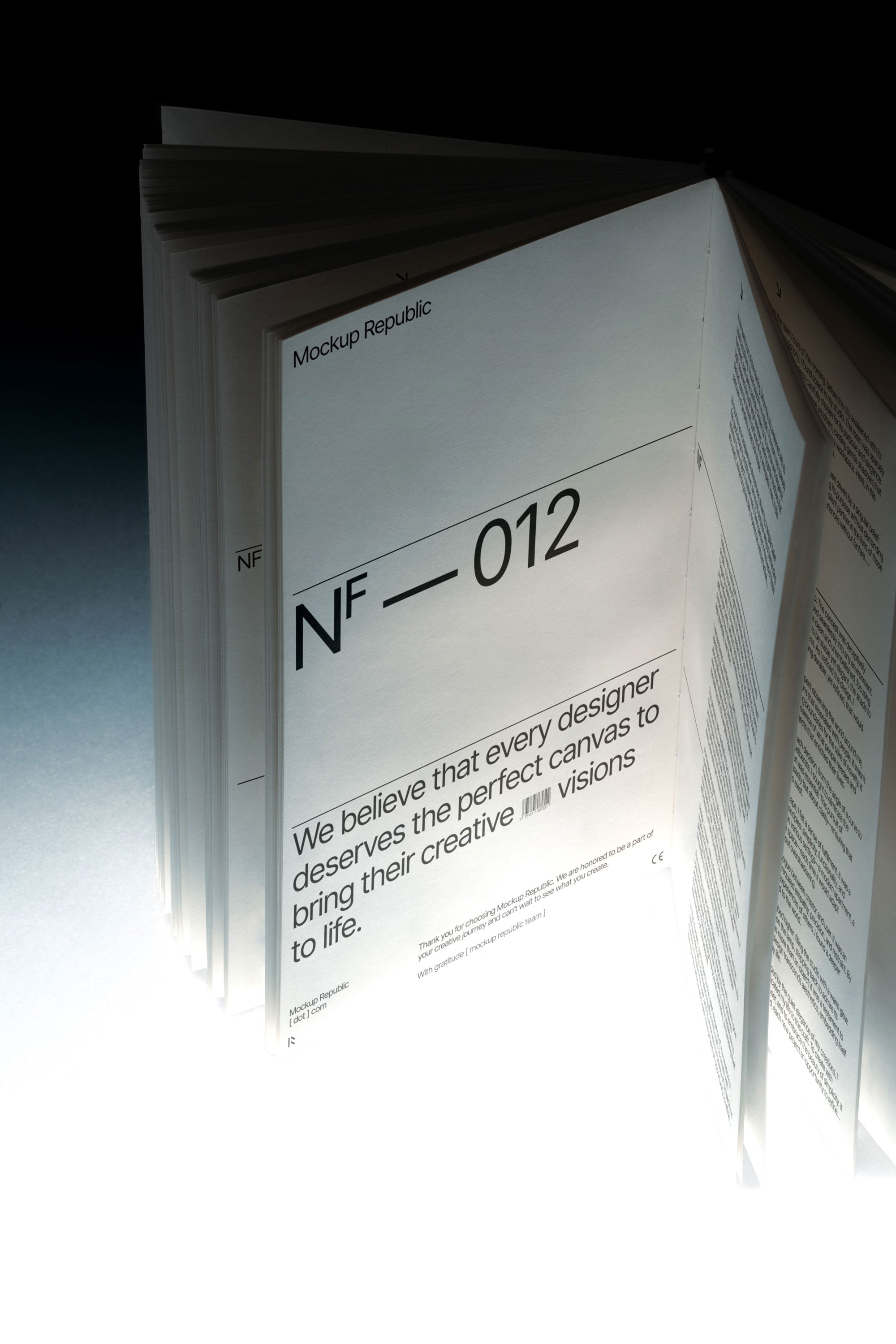 Book Mockup NF_012