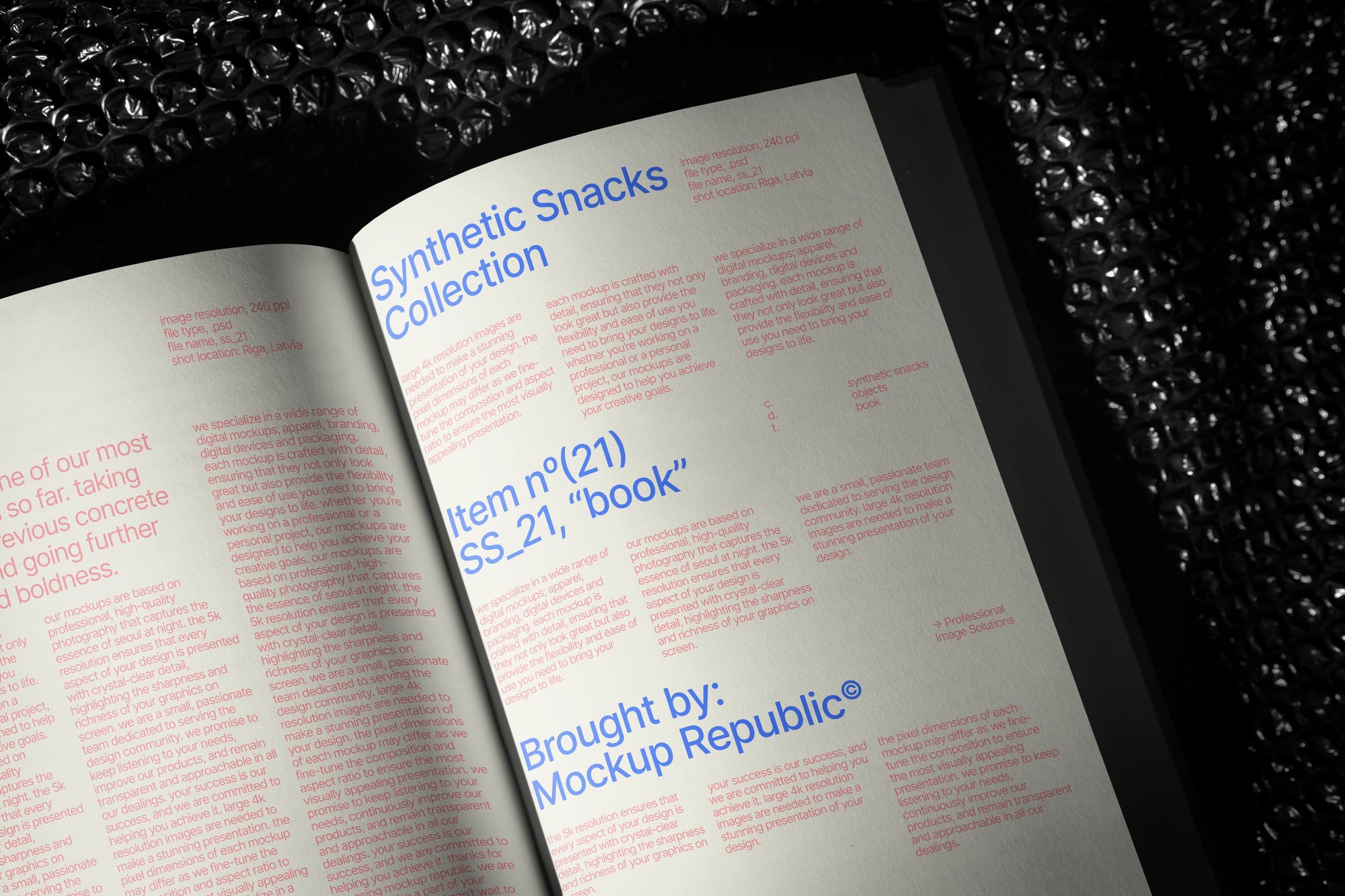 Book Mockup SS_21