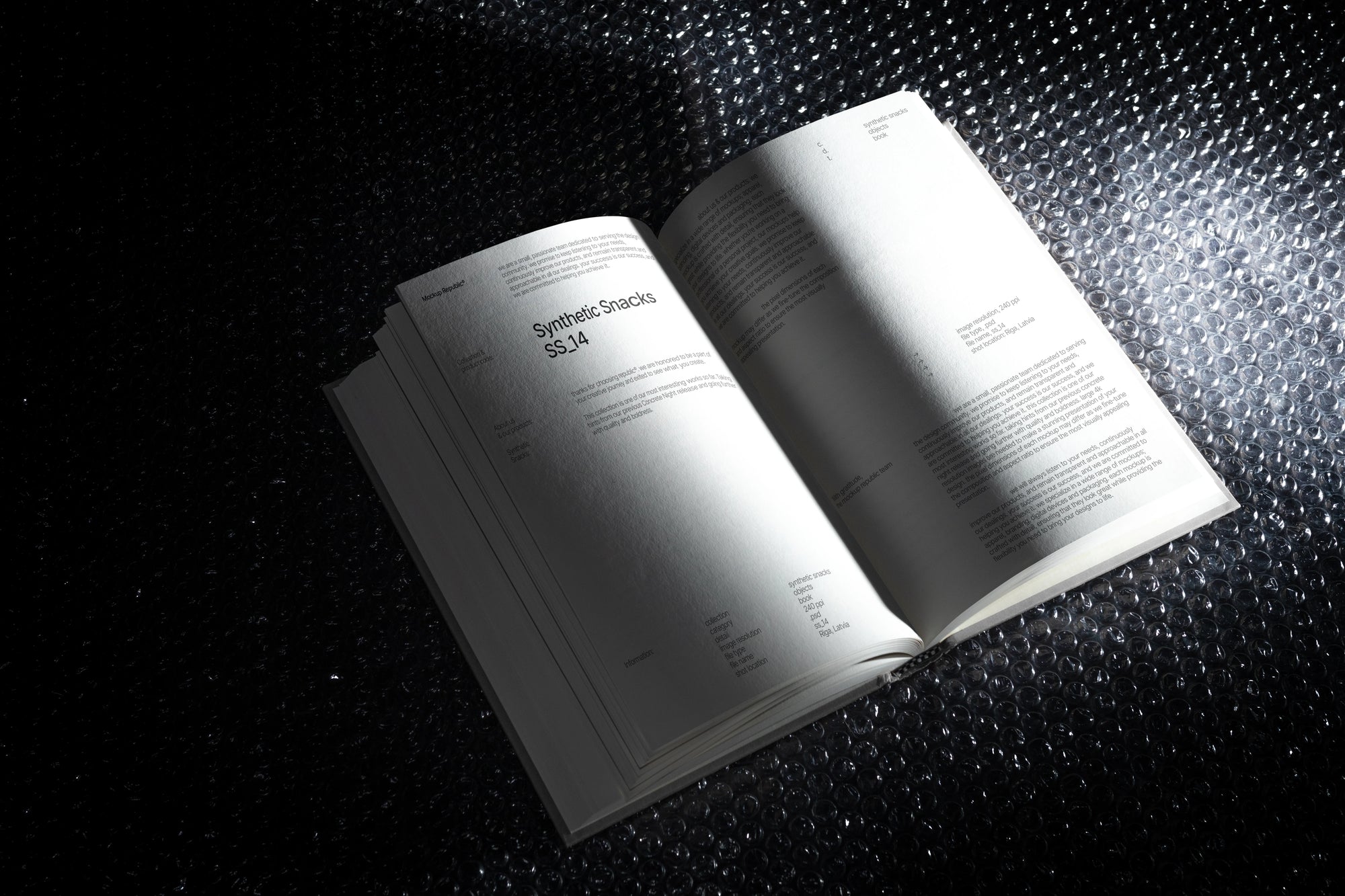 Book Mockup SS_14