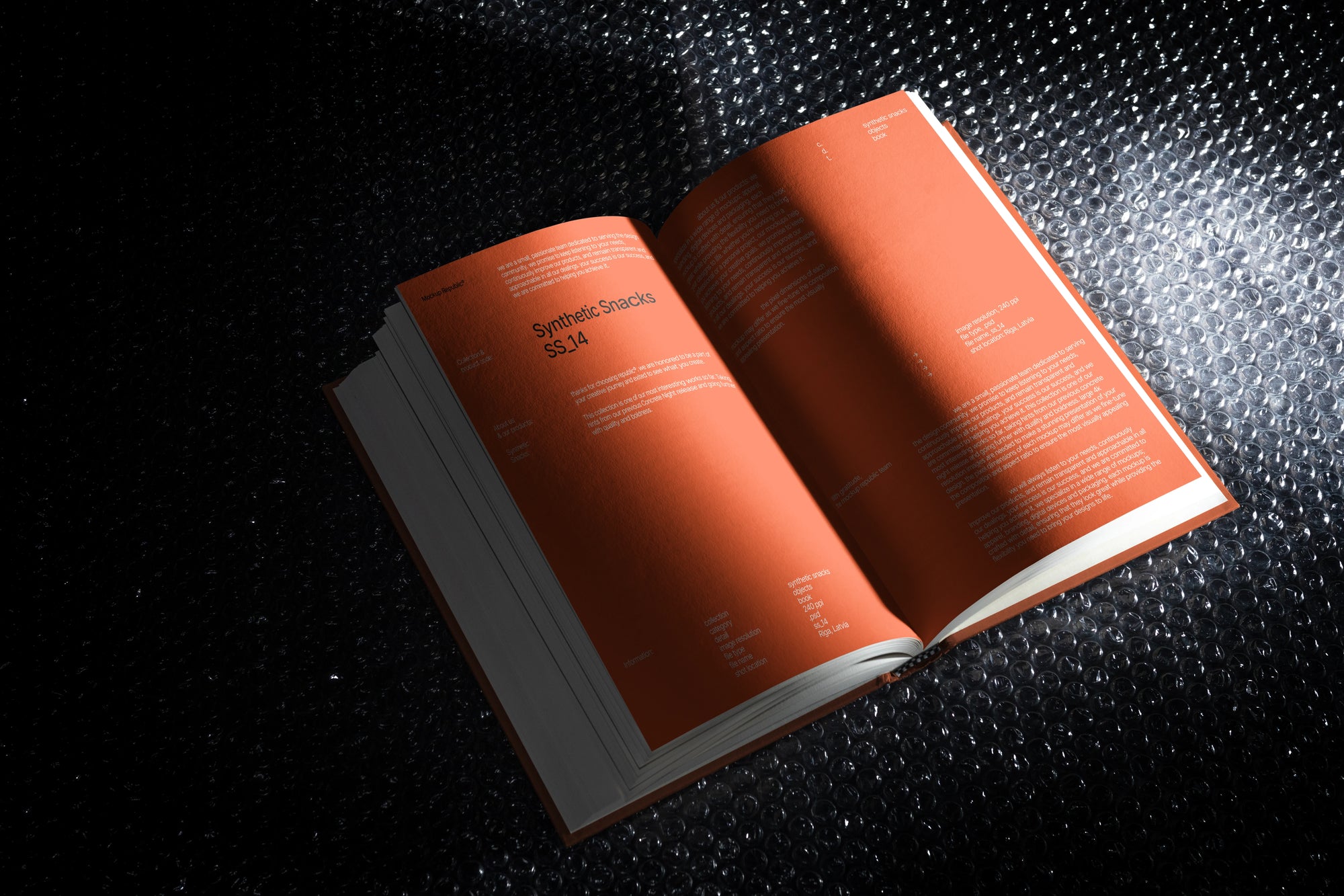 Book Mockup SS_14