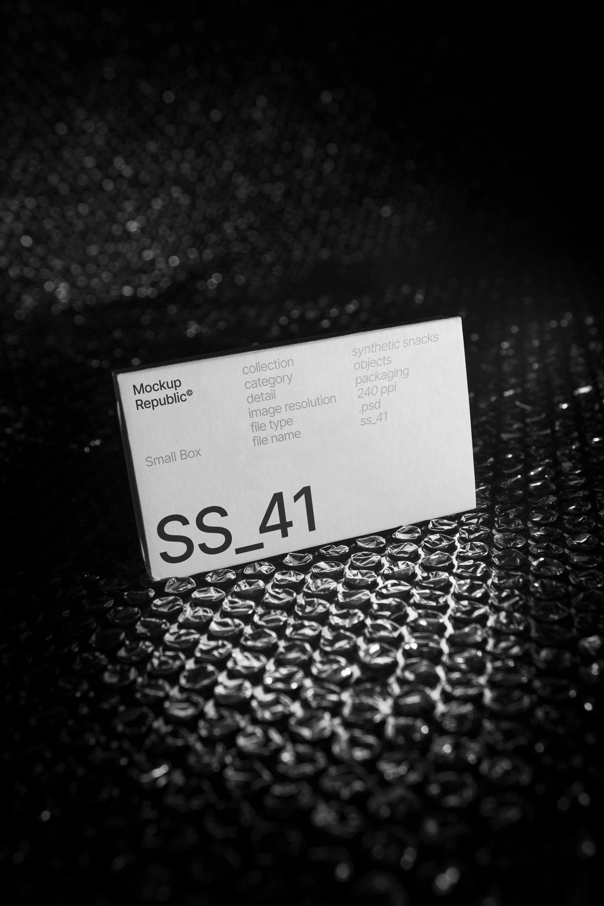 Packaging Mockup SS_41