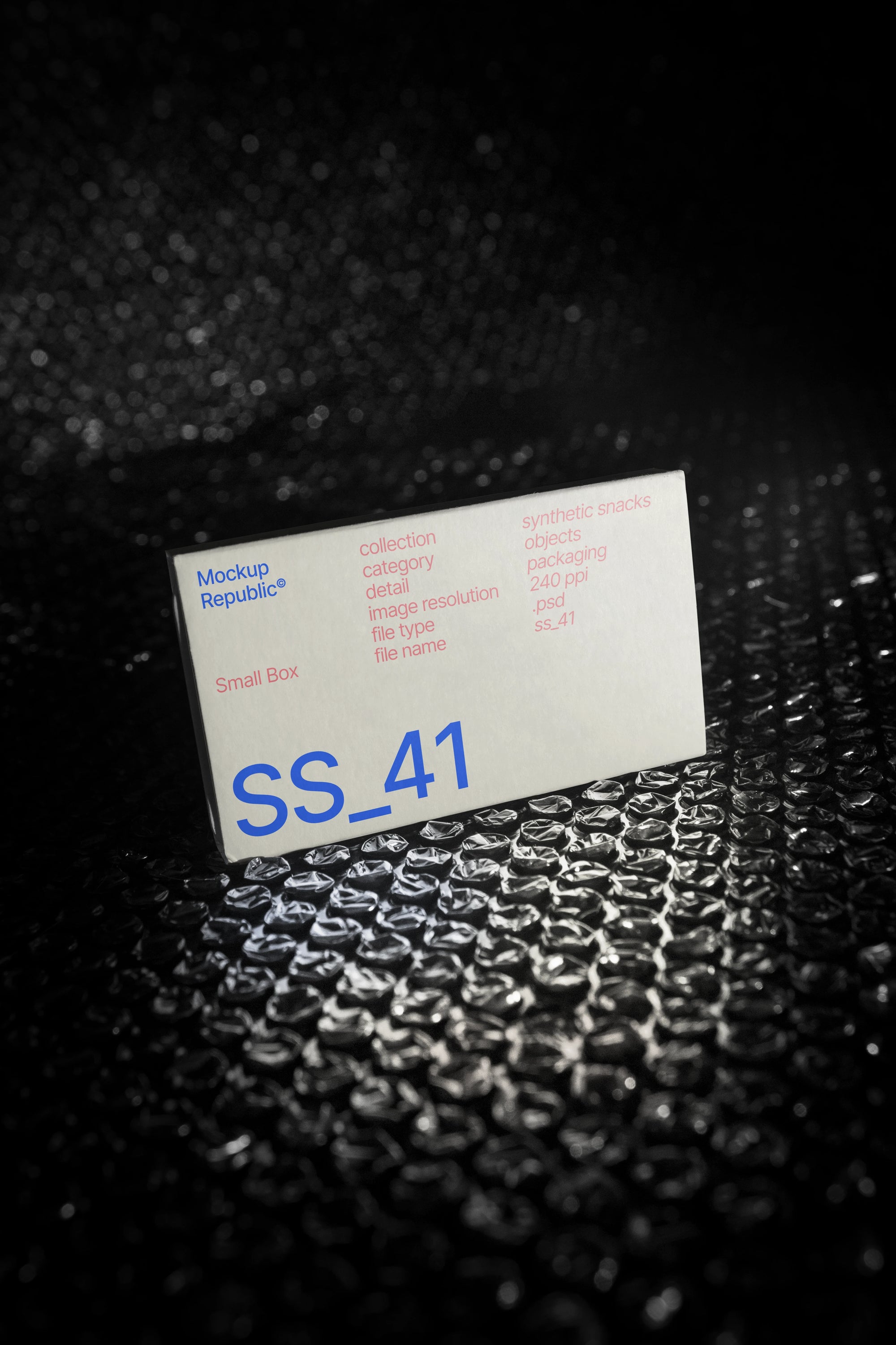 Packaging Mockup SS_41