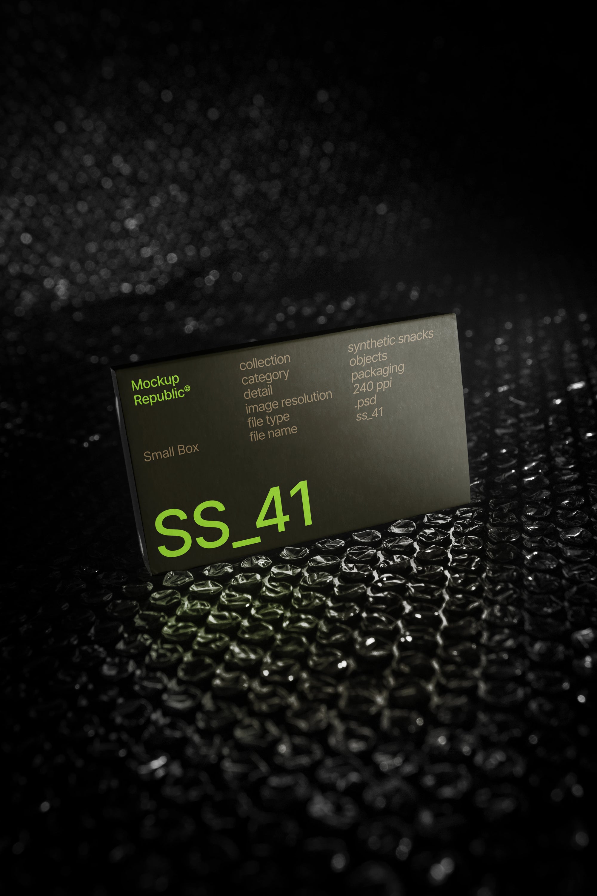 Packaging Mockup SS_41