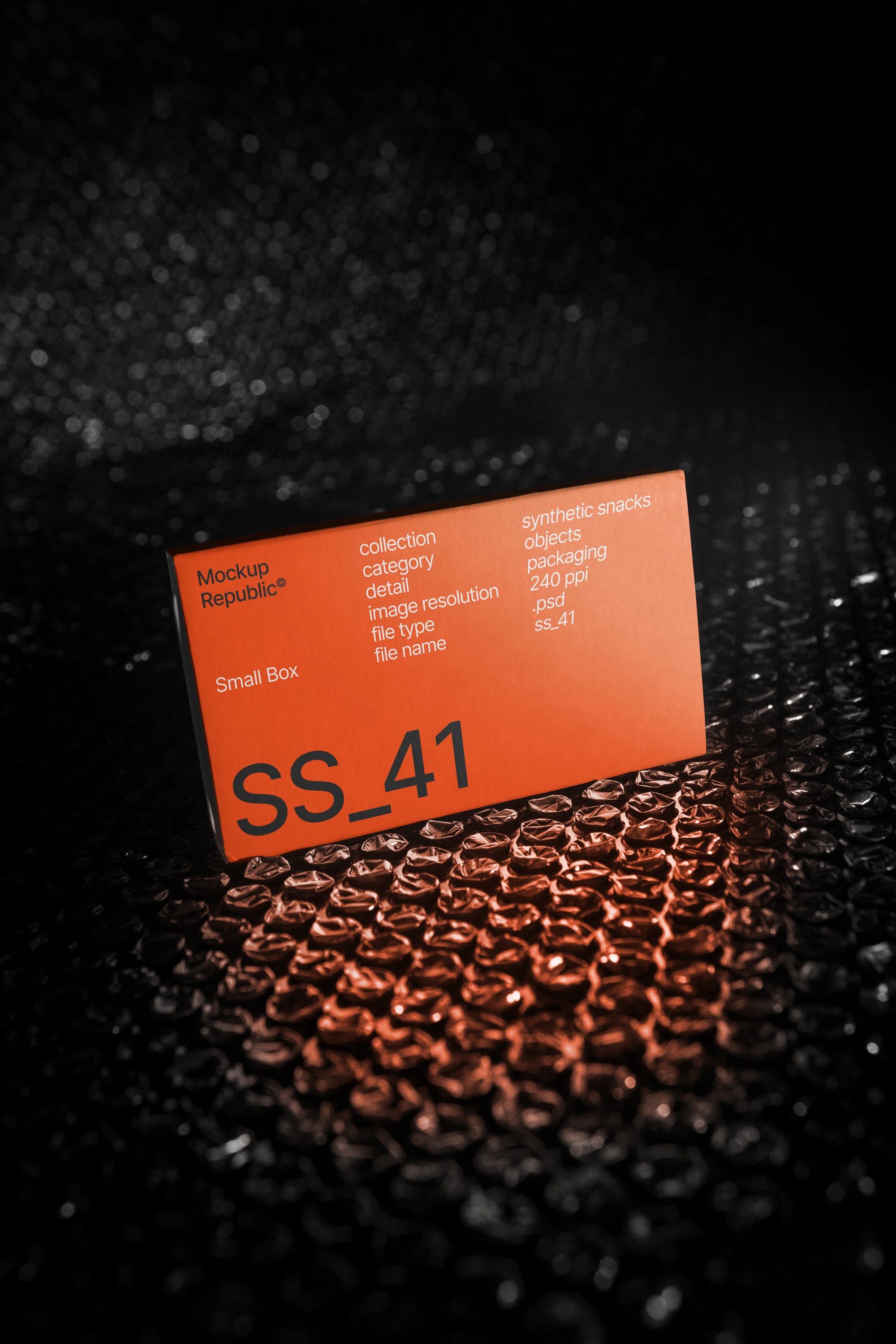 Packaging Mockup SS_41