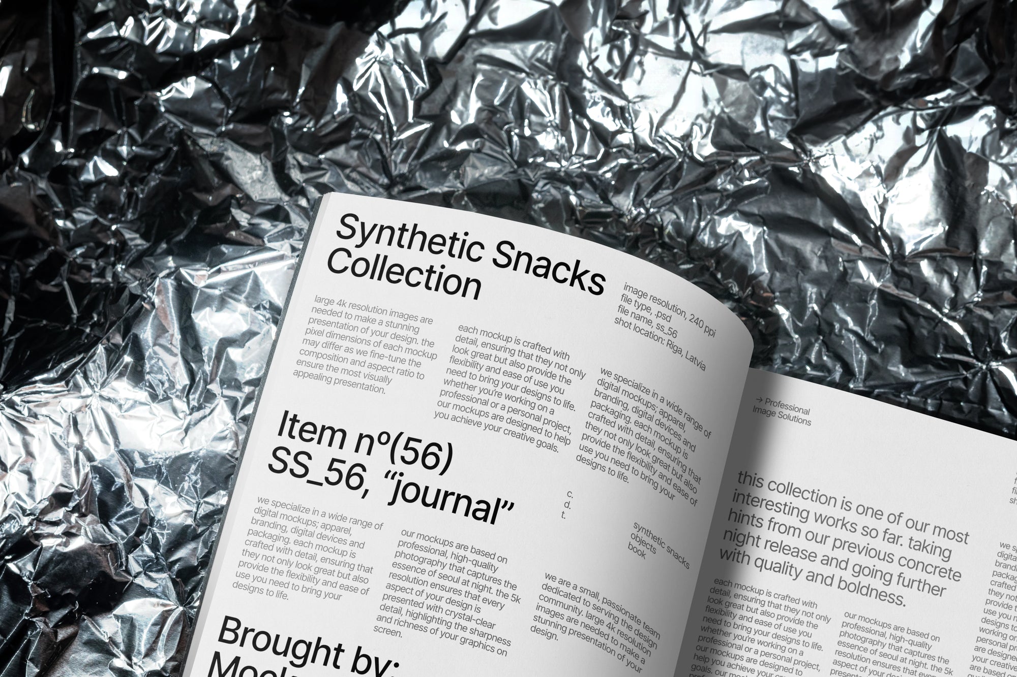 Journal Mockup SS_56