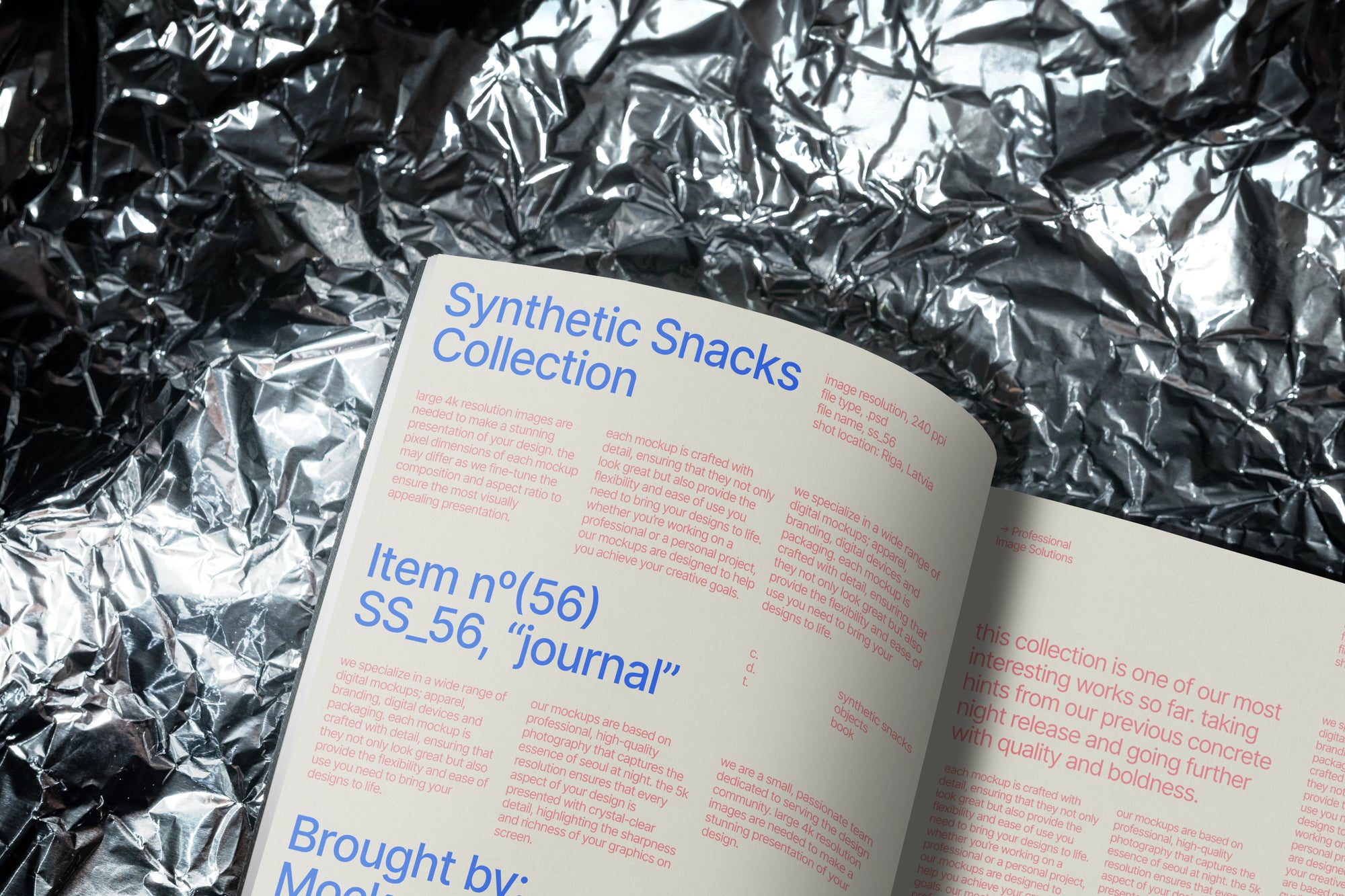 Journal Mockup SS_56