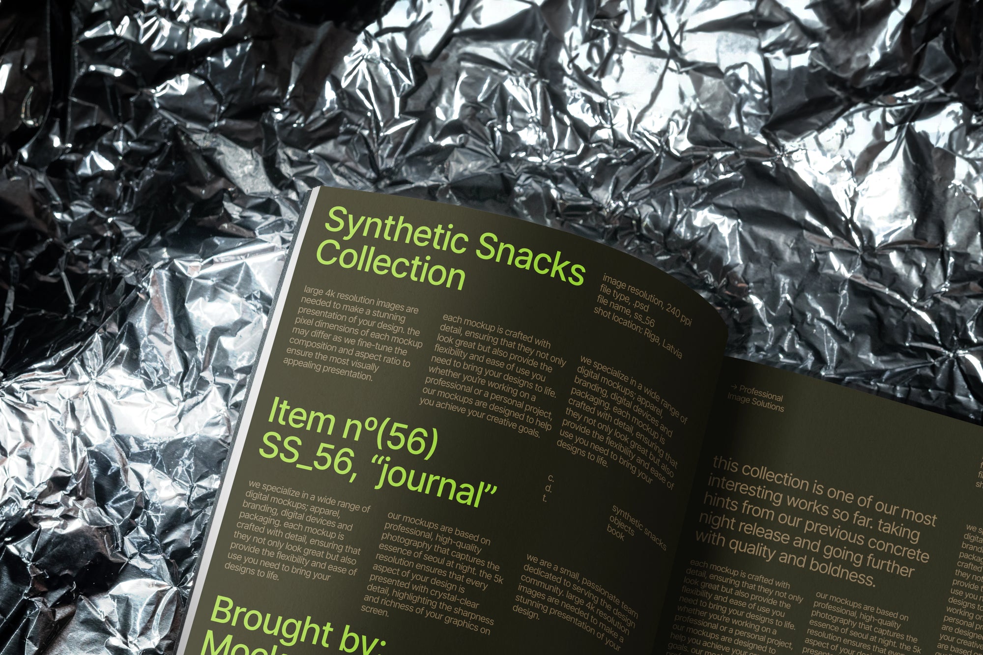 Journal Mockup SS_56