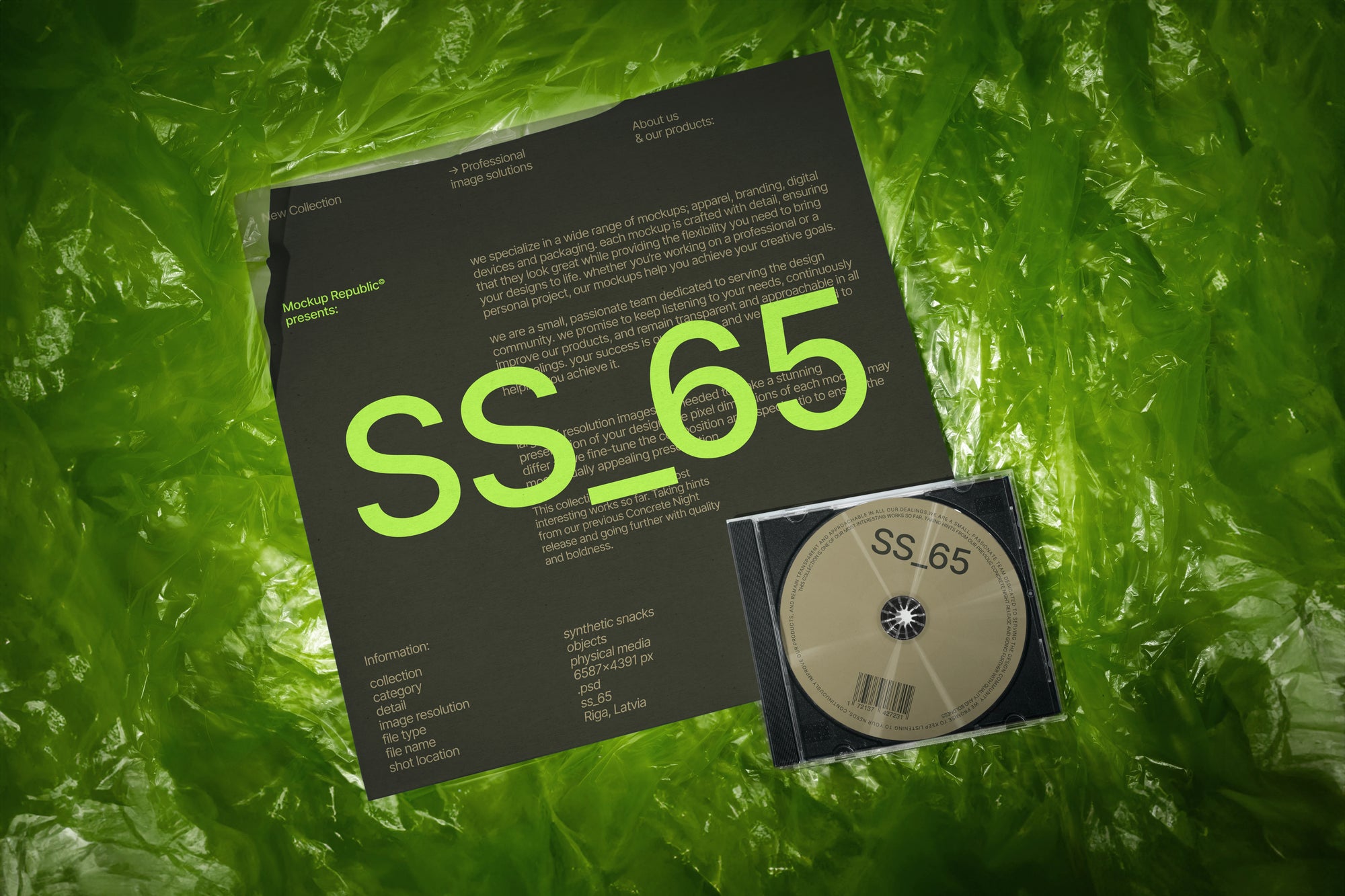 CD and Vinyl Mockup SS_65