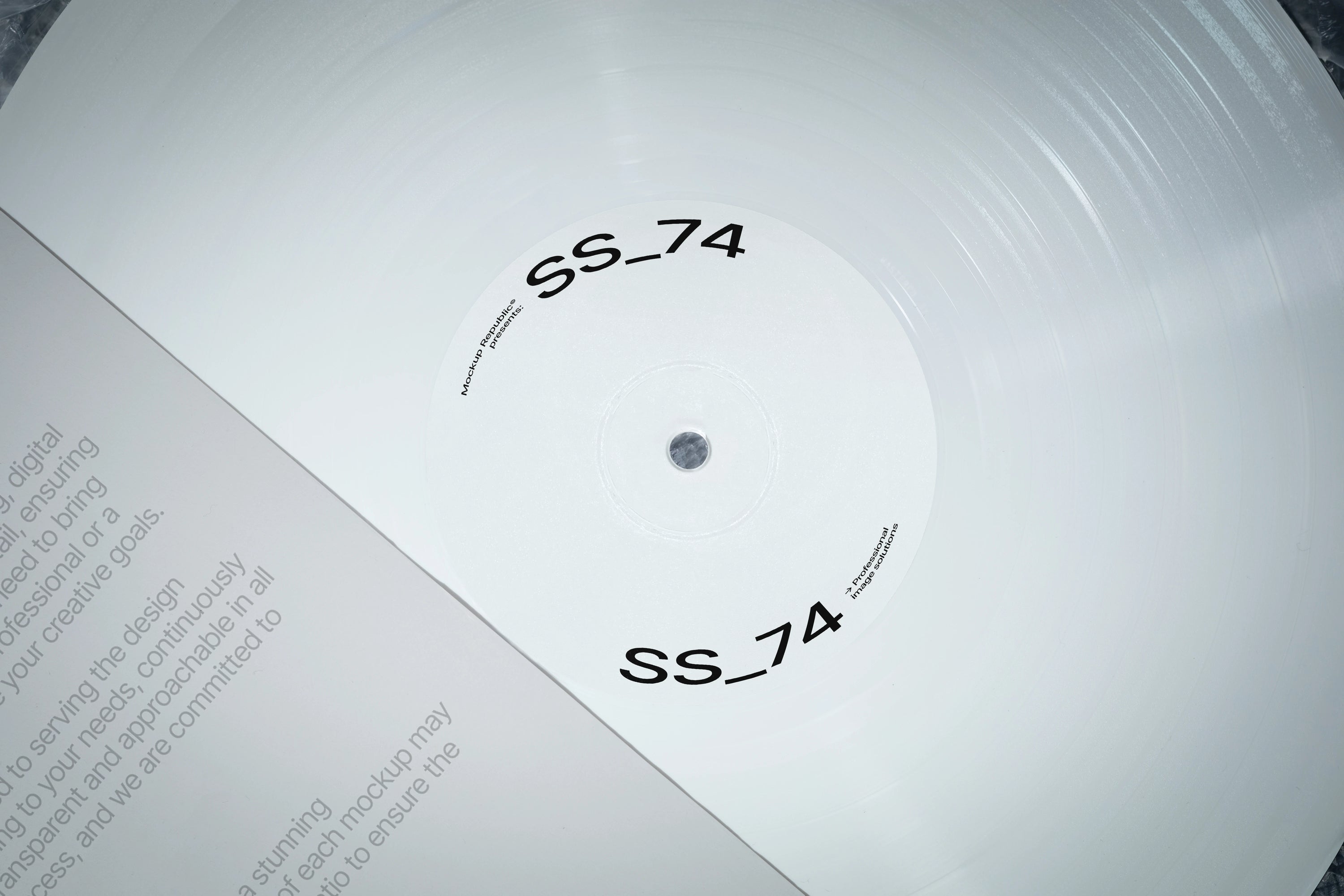 Vinyl Mockup SS_74