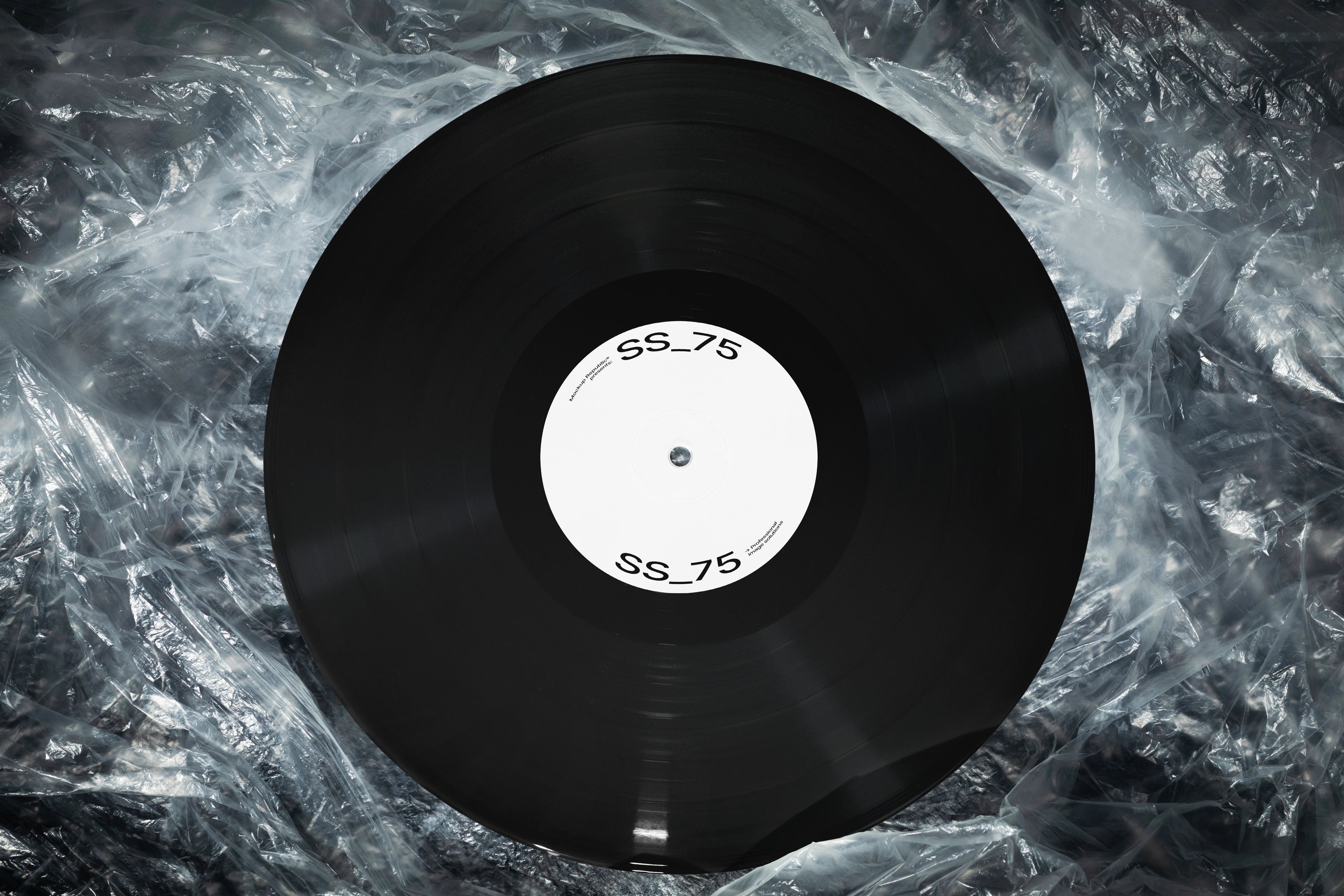 Vinyl Mockup SS_75